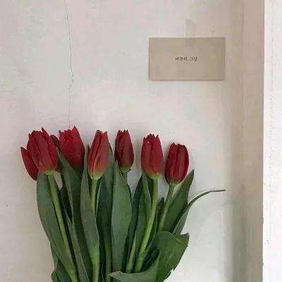 三界剑灵手游下载